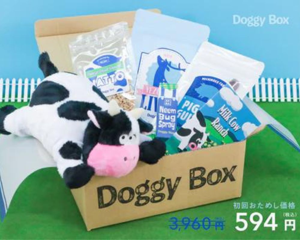 日本Doggy Box：適合大型犬 (22 ~ kg)