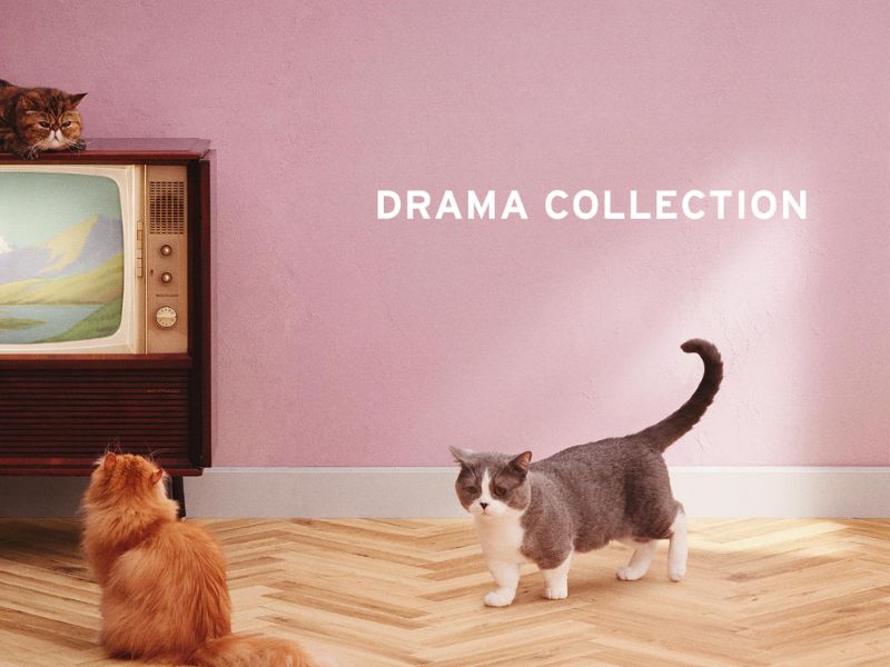 Drama Collection